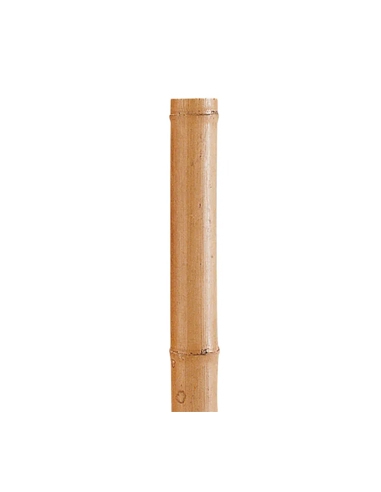 Palo BAMBU Decorativo 170 cm