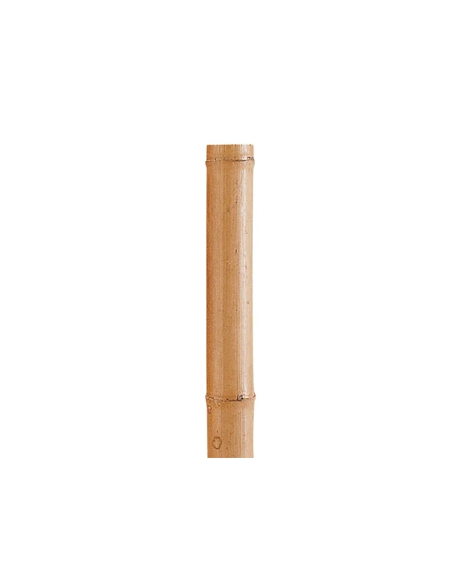 Palo BAMBU Decorativo 170 cm